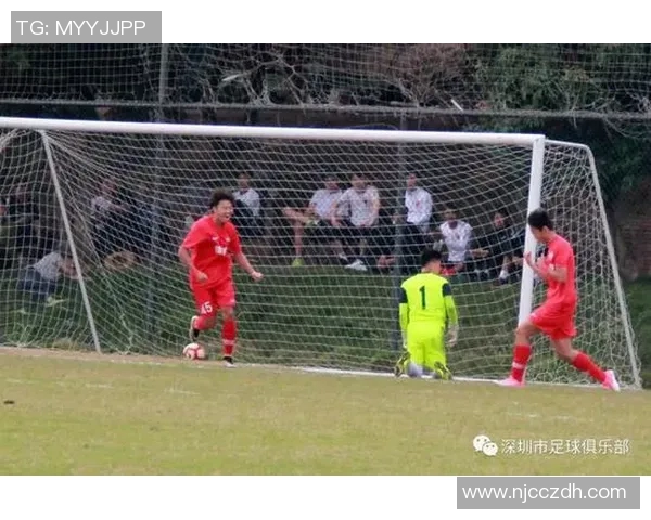 西安网球队在欧锦赛中的战术意识与团队配合全面解析